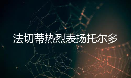 法切蒂熱烈表揚托爾多