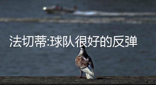 法切蒂:球隊很好的反彈表現