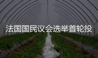 法國國民議會選舉首輪投票初步結果顯示極右翼國民聯盟領先