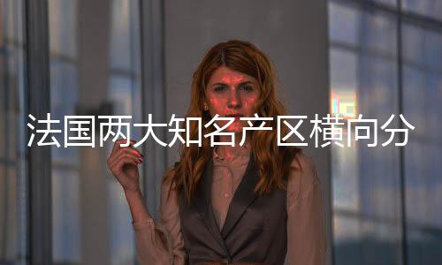 法國兩大知名產(chǎn)區(qū)橫向分析：波爾多 VS 羅訥河谷