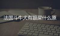 法國斗牛犬有眼屎什么原因引起的(法國斗牛犬有眼屎怎么回事)
