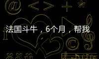 法國斗牛，6個月，幫我看看值多少錢？ 法國斗牛多少錢一只