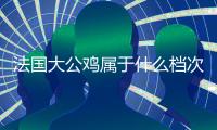 法國大公雞屬于什么檔次（法國大公雞叫什么牌子）