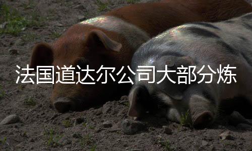法國道達(dá)爾公司大部分煉油工人結(jié)束罷工