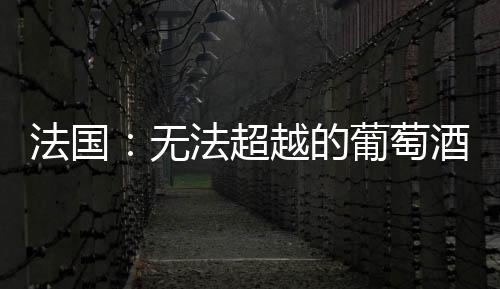法國：無法超越的葡萄酒國度