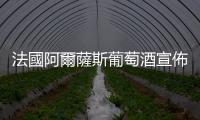 法國(guó)阿爾薩斯葡萄酒宣佈成為2025大阪世博會(huì)法國(guó)館金級(jí)贊助者