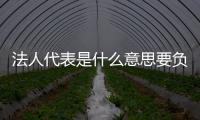 法人代表是什么意思要負責什么責任（法人代表是什么意思）