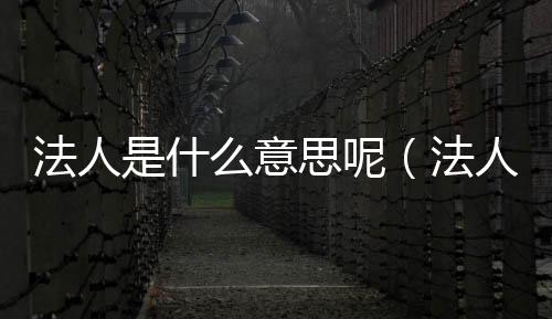 法人是什么意思呢（法人是什么意思）