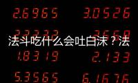 法斗吃什么會吐白沫？法斗吃什么吐什么怎么辦