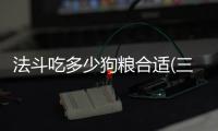 法斗吃多少狗糧合適(三個月的法斗吃多少狗糧)