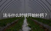 法斗什么時候開始補鈣？法斗什么時候吃鈣片