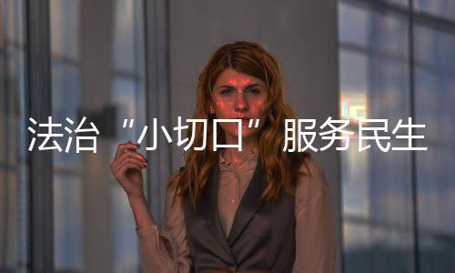 法治“小切口”服務民生“大實事”_