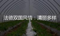 法德雙國(guó)風(fēng)情：清麗多樣的阿爾薩斯葡萄酒
