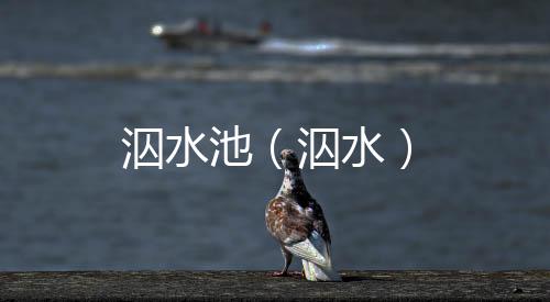 泅水池（泅水）