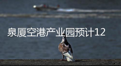 泉廈空港產業園預計12月底交付投產