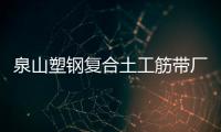 泉山塑鋼復合土工筋帶廠家