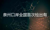泉州口岸全國首次檢出有害生物象鼻圍盾蚧