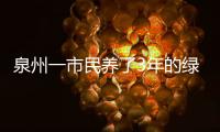 泉州一市民養了3年的綠蘿 要捐給口袋公園