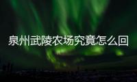 泉州武陵農場究竟怎么回事?