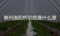 泉州洛陽橋到底是什么原因?