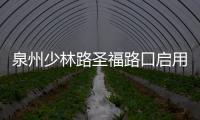 泉州少林路圣福路口啟用紅綠燈 市民自覺遵守有序通行