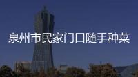 泉州市民家門口隨手種菜 長(zhǎng)出1.07米長(zhǎng)葫蘆瓜