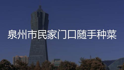 泉州市民家門口隨手種菜 長出1.07米長葫蘆瓜