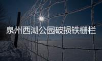 泉州西湖公園破損鐵柵欄已修補 今后將逐步拆墻透綠