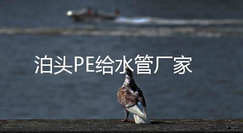 泊頭PE給水管廠家