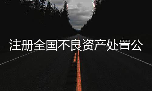 注冊全國不良資產處置公司