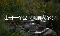 注冊一個品牌需要花多少錢，注冊商標(biāo)多少錢一件