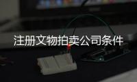 注冊(cè)文物拍賣公司條件