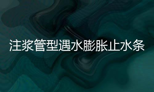 注漿管型遇水膨脹止水條BW