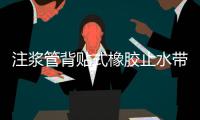 注漿管背貼式橡膠止水帶輸水渡槽專用
