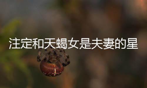 注定和天蝎女是夫妻的星座男