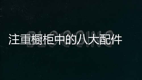注重櫥柜中的八大配件 讓自己的廚房更加時尚