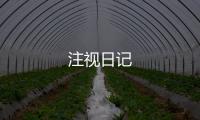 注視日記