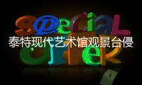 泰特現代藝術館觀景臺侵犯住所隱私案提交英國最高法院（組圖）