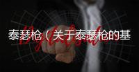 泰瑟槍（關于泰瑟槍的基本情況說明介紹）