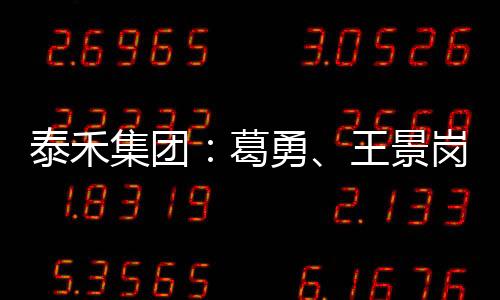 泰禾集團：葛勇、王景崗被內部任命為集團聯席總裁