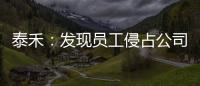 泰禾：發現員工侵占公司巨額財產，將開展為期3個月的廉潔整頓自查活動