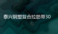 泰興鋼塑復合拉筋帶30020C電話