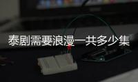 泰劇需要浪漫一共多少集