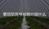 泰坦尼克號被刪片段什么原因?
