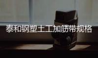 泰和鋼塑土工加筋帶規格