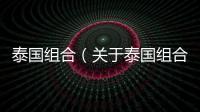 泰國組合（關(guān)于泰國組合的基本情況說明介紹）
