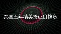 泰國五年精英簽證價格多少（精英簽證能夠找代辦嗎）