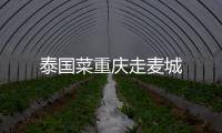 泰國菜重慶走麥城