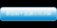 泰國蝸牛面膜功效詳解