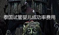 泰國(guó)試管嬰兒成功率費(fèi)用醫(yī)院選擇等問(wèn)題介紹
